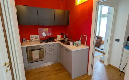 Via Peyron – Affittasi elegante loft arredato