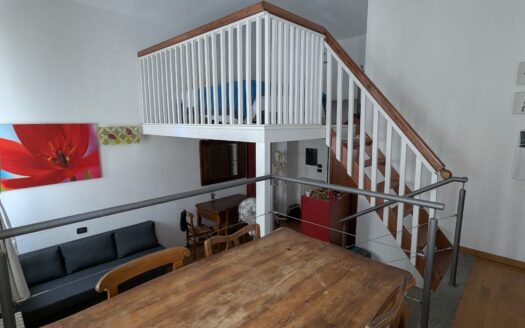 Via Peyron – Affittasi elegante loft arredato