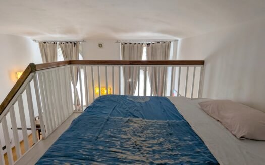 Via Peyron – Affittasi elegante loft arredato