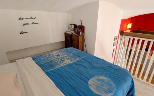 Via Peyron – Affittasi elegante loft arredato