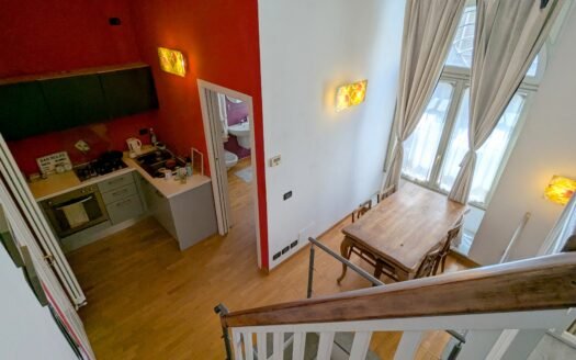 Via Peyron – Affittasi elegante loft arredato