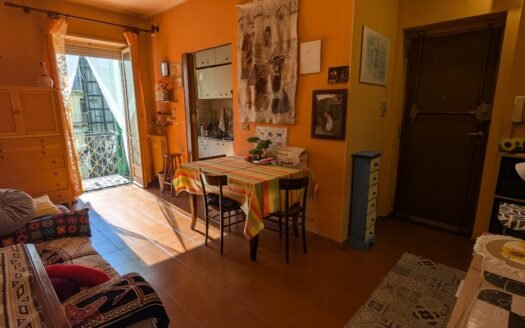 Vanchiglietta – Grazioso bilocale al secondo piano