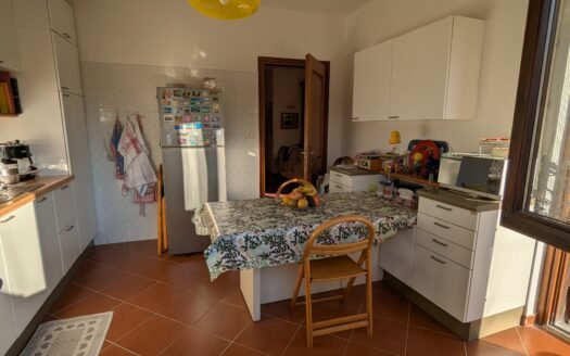 Pino torinese- Villetta con giardino privato e box auto in ottime condizioni manutentive