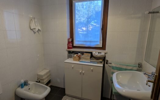 Pino torinese- Villetta con giardino privato e box auto in ottime condizioni manutentive