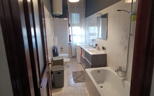 Lingotto – affittasi trilocale arredato