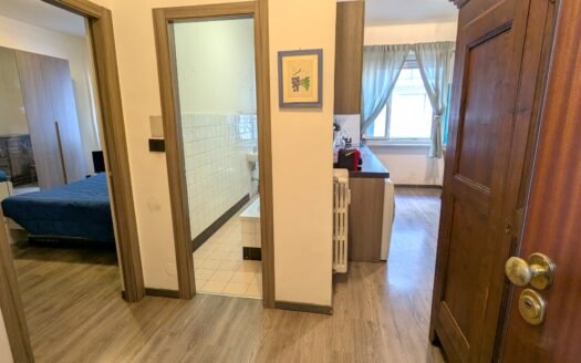 Lingotto – Via Voli – gradevole bilocale