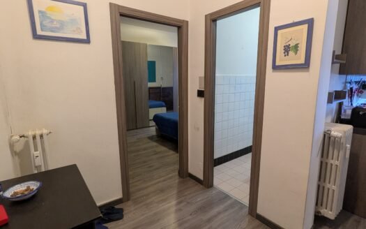 Lingotto – Via Voli – gradevole bilocale