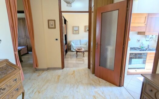 Regio Parco – Via Cravero – luminoso e ampio appartamento