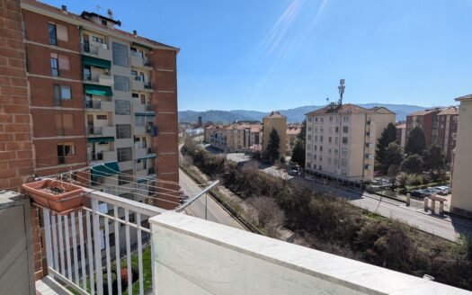 Regio Parco – Via Cravero – luminoso e ampio appartamento