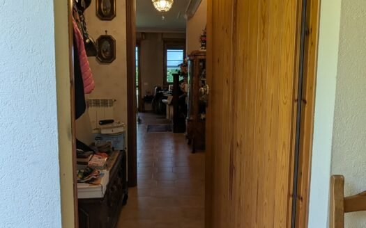 Orbassano – Via Mazzini villetta libera su tre lati