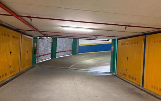 Piazza Carlina – autorimessa vendesi