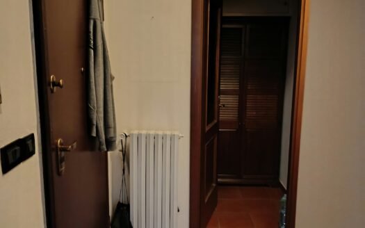 CENTRO – VIA DEL CARMINE – AMPIO MONOLOCALE CON CUCININO