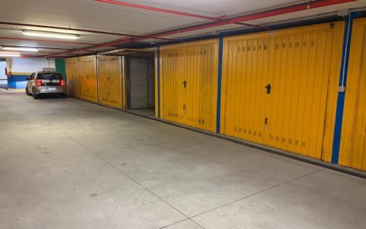 Piazza Carlina – autorimessa vendesi