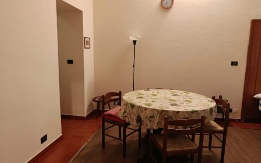 CENTRO – VIA DEL CARMINE – AMPIO MONOLOCALE CON CUCININO