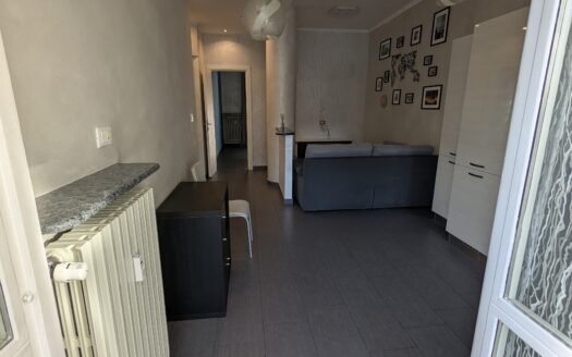 Regio Parco bilocale ultimo piano totalmente ristrutturato